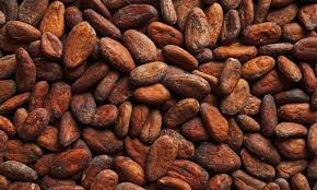 Belangrijke cacao-vondst ontdekt